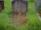 image of grave number 909141